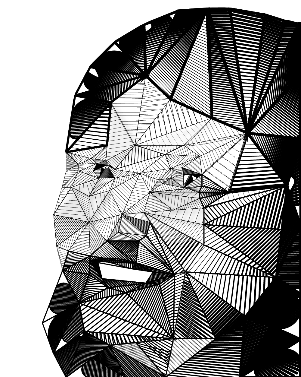 Illustrator Portrait